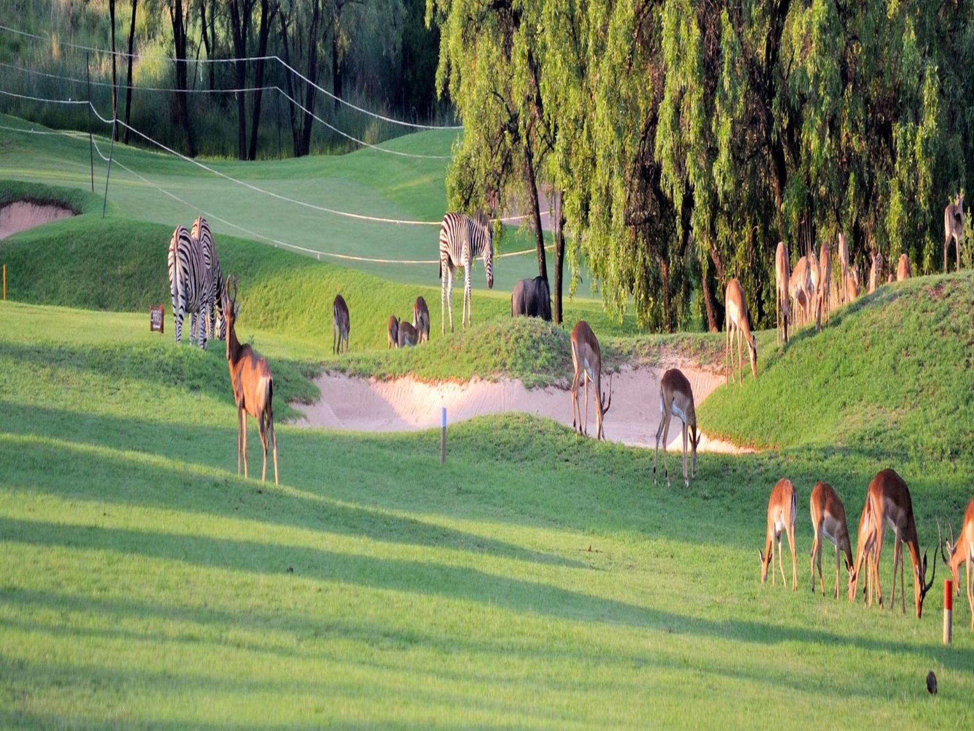 Elements Private Golf Reserve 贝拉贝拉 外观 照片